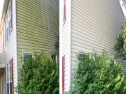 Pressure Washed Vinyl Siding Pressure Washed Vinyl Siding